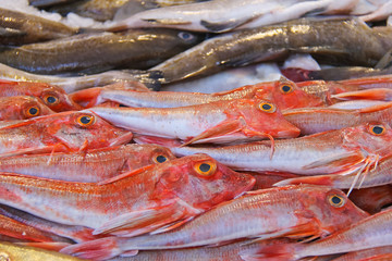 Sales of fresh fish on the market