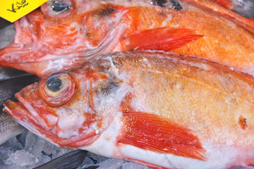 Obraz na płótnie Canvas Sales of fresh fish on the market