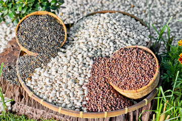 different types of beans on a basket