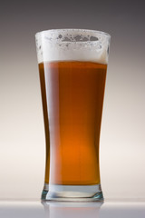 Beer Glass