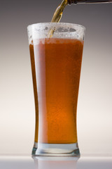 Beer Glass