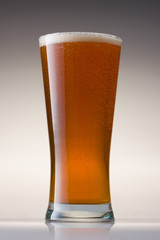 Beer Glass