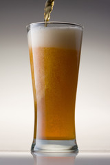 Beer Glass