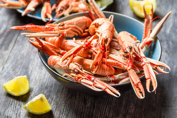 Freshly cooked scampi in a blue bowl