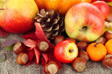 Beautiful autumn composition, close up