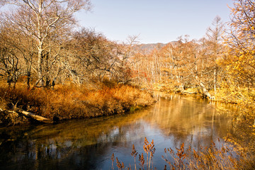 戦場ヶ原を流れる湯川