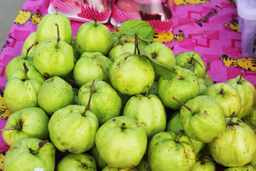 fruit guava fresh-in the market.
