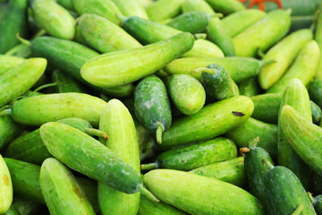 Fresh vegetables - cucumber in the market.