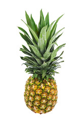 Fototapeta premium Ripe whole pineapple isolated on white background.