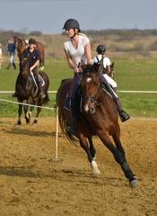 horse jumping