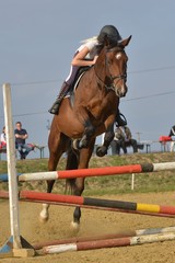 horse jumping
