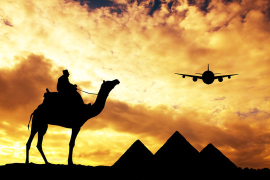 pyramids and camels