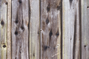 Obraz premium old grey wooden wall texture