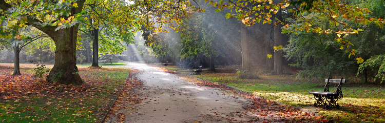 Path in the autumn park. Autumn Landscape. - obrazy, fototapety, plakaty