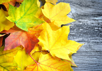 Autumn leaves over old wooden background. With copy space