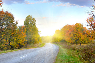 Empty autumn road