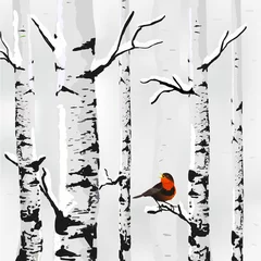 Velvet curtains Birds in the wood Birch in snow, winter card in vector