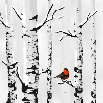 Birch in snow, winter card in vector