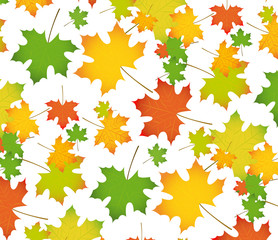 autumnal leaves pattern