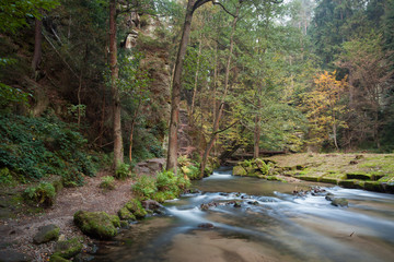 Fototapeta na wymiar Rapids flowing along lush forest