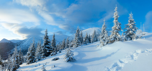 Fototapeta na wymiar Morning winter mountain landscape (Carpathian, Ukraine).