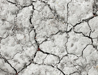 Dry cracked earth