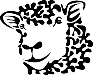 sheep head