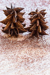 Little trees made from star anise. Selective focus.