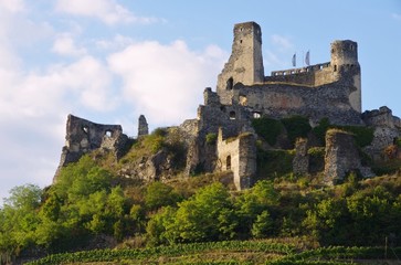 Fototapeta na wymiar Senftenberg Burg - Senftenberg castle 04