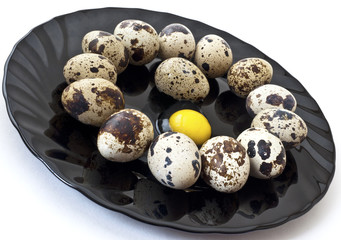 Obraz premium quail eggs on a plate isolated