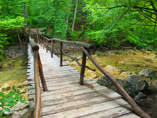 Canyon in the summer time. Beautiful landscape