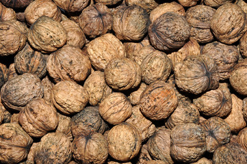 walnuts