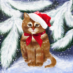 fluffy cat sits in a cap under the snow
