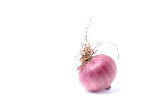 Shallots, Raw and uncooked isolated on white background