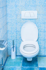 toilet in the bathroom