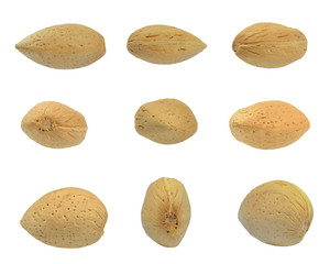 almond nuts