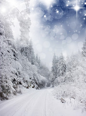 Christmas background with snowy fir trees