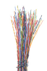Obraz na płótnie Canvas Telecommunication network cable isolated on white background