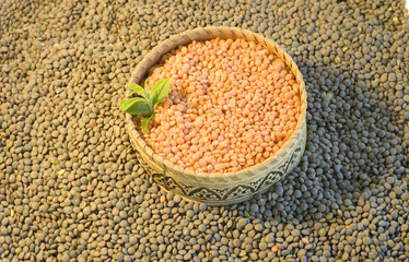 Orange lentils  on green lentils  backgrond