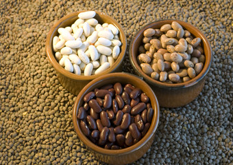 Varies of beans