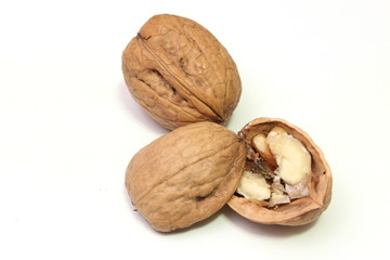 noci