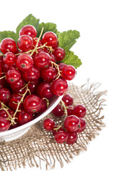 Portion of Red Currants (Isolated)