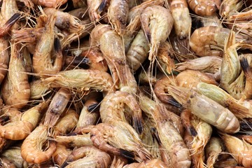 fangfrische Nordseekrabben als Hintergrundbild