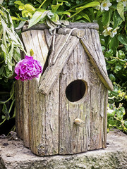 bird house