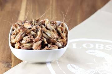 fangfrische Nordseekrabben in Keramikschale