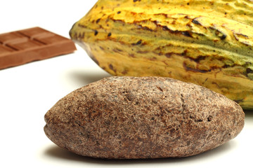 Cacao fruit, chocolate and cocoa bread