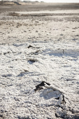 Aral Sea - kazakhstan