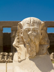 Wakacje w Egipcie © Zbyszek Nowak