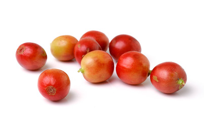 red coffee beans isolated on white background