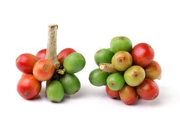 red coffee beans isolated on white background